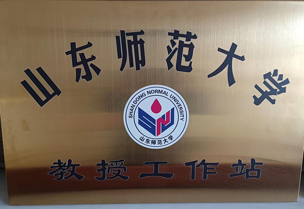 山东师范大学教授工作站